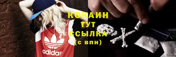 индика Армянск