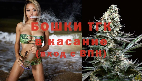 Альфа ПВП Аркадак