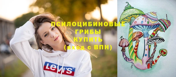 индика Армянск