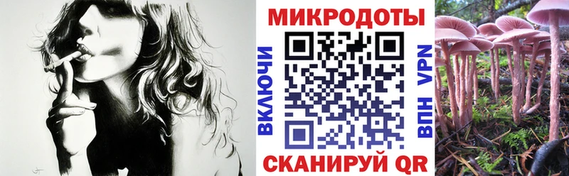 shop Telegram как найти Голицыно Галлюциногенные грибы Magic Shrooms