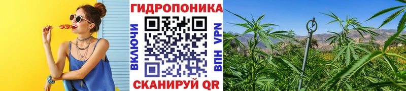 hydra сайт  Голицыно  Бошки Шишки ГИДРОПОН 
